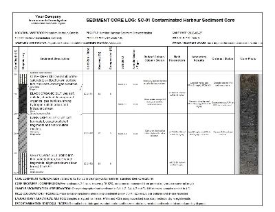 WinLoG contaminated harbour sediment core log with analytical sampling and continuous depth-aligned core photography