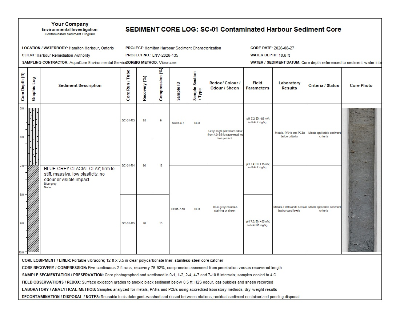 WinLoG contaminated harbour sediment core log sheet 2