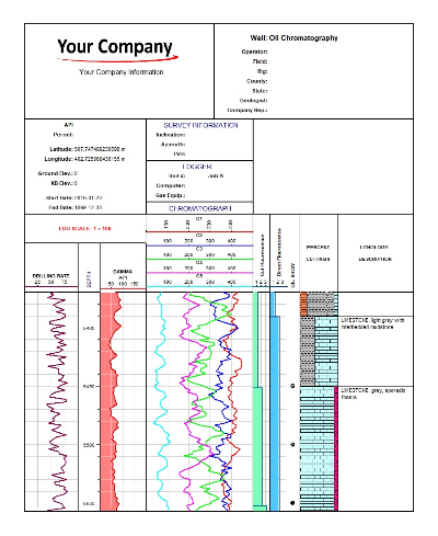 Oil chromatography log sheet 3 preview