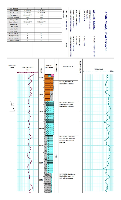 WinLoG Oil Total Gas petroleum well log