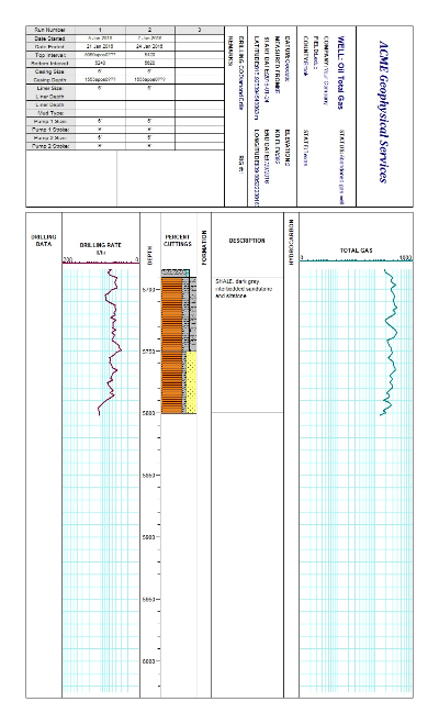 Oil Total Gas log sheet 2